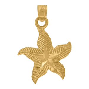10kt Yellow Gold Womens Starfish Ht:24.9mm x W:16.7mm Animal Charm Pendant