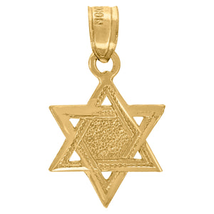 10kt Yellow Gold Unisex Star of David Ht:19.5mm x W:11.2mm Religious Charm Pendant