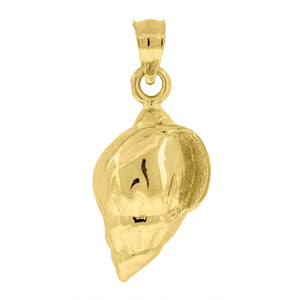 10kt Yellow Gold Womens Conch Shell Ht:23.6mm x W:10.2mm Animal Charm Pendant
